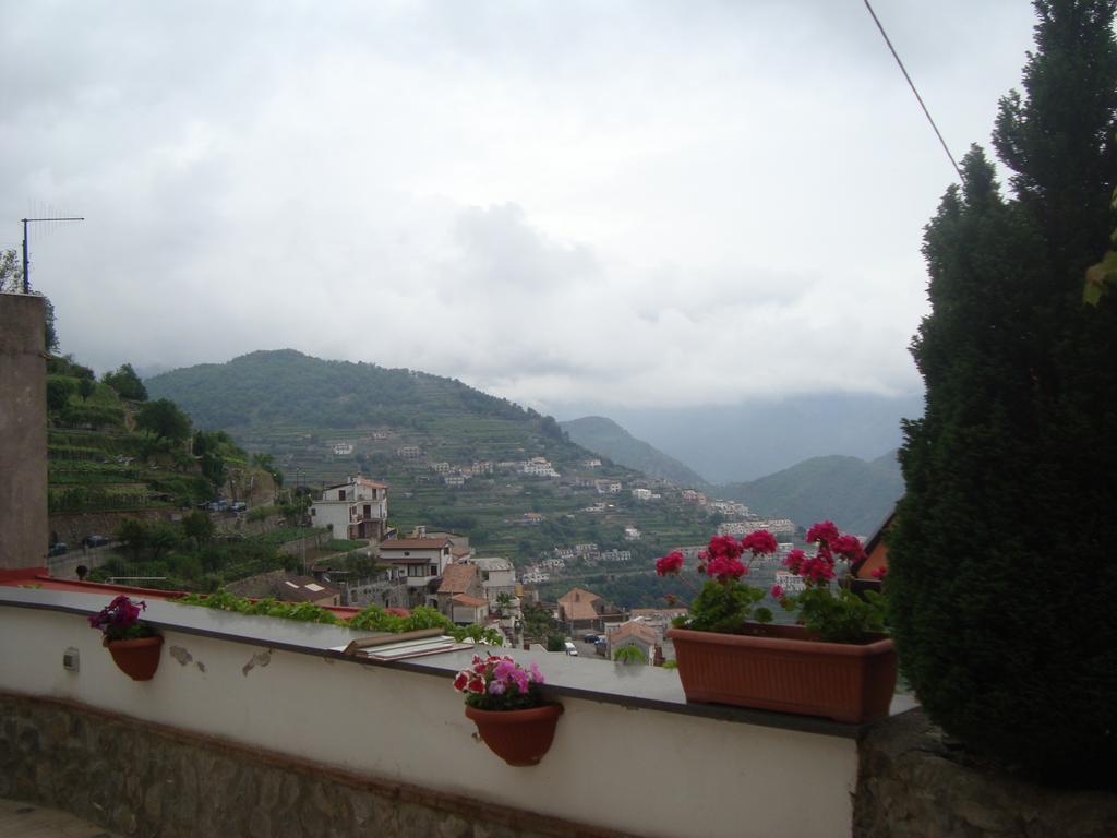 B&B Oliva Scala Rum bild